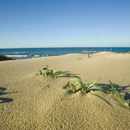 Sentimentos By Interhome Apartment Sorso