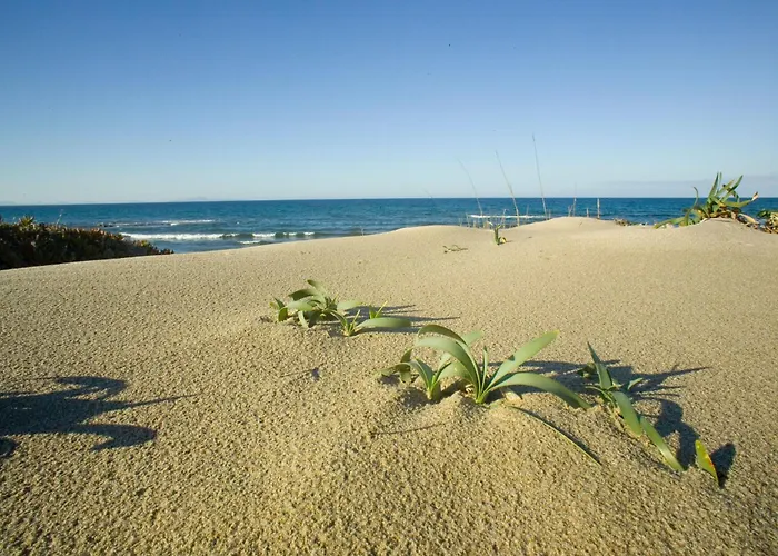 Sentimentos By Interhome Apartamento Sorso